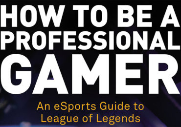 fnatic buch professional gamer